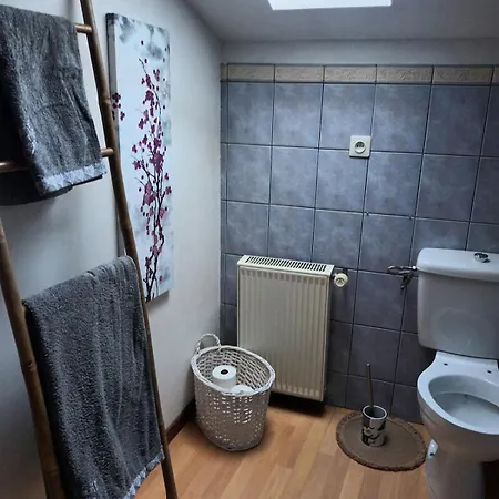 Avec Jacuzzi, Animaux De Compagnie Acceptes Saint-Joire